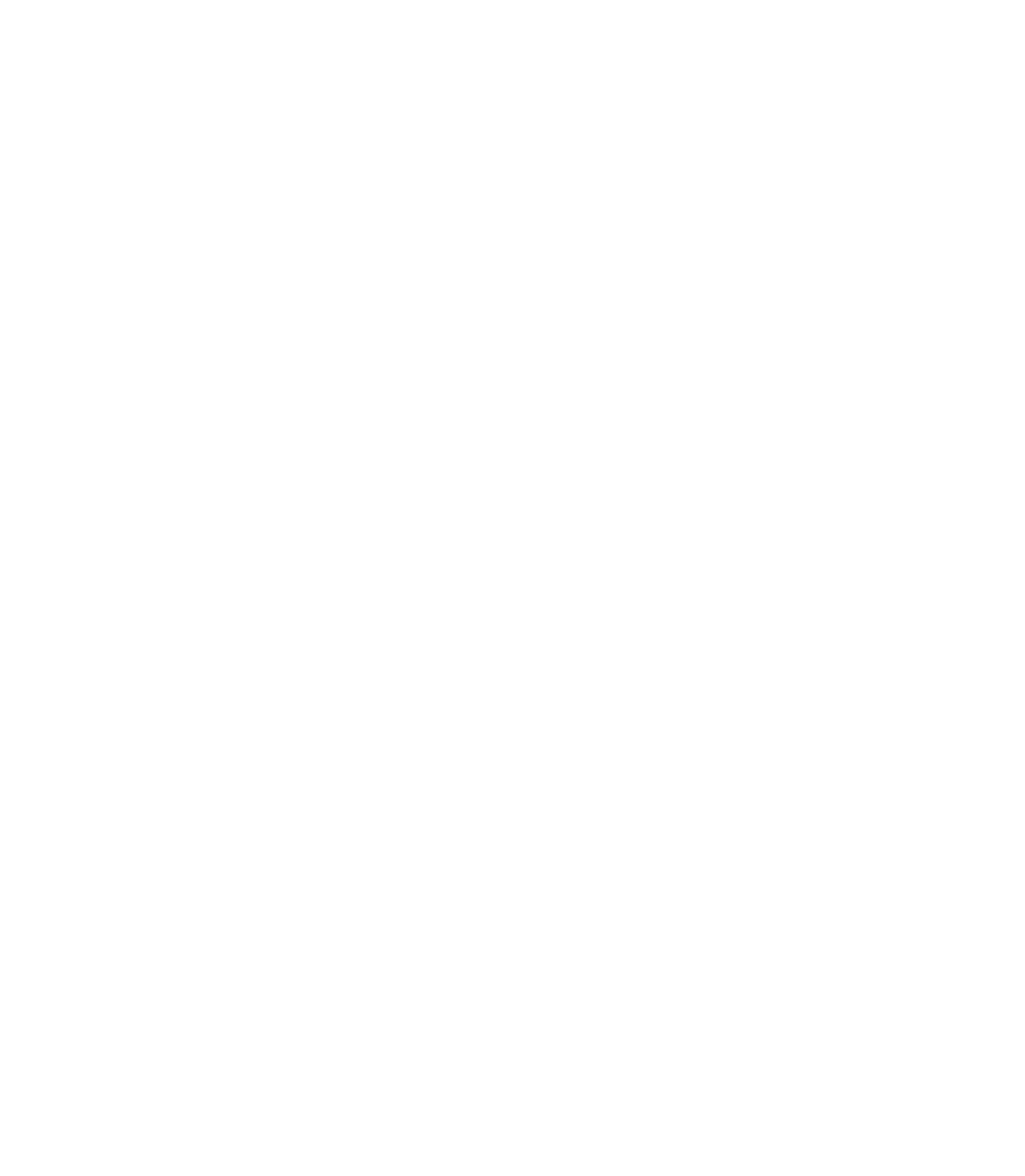 Projeto Campo Cidade — Geração de Renda e Sustentabilidade